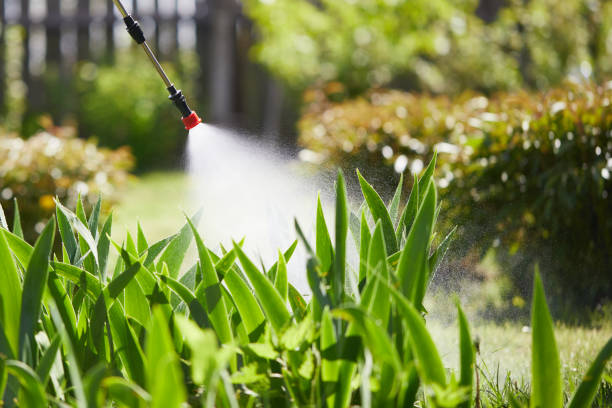Tamper-Resistant Bait Stations for Rodents in Pikeville