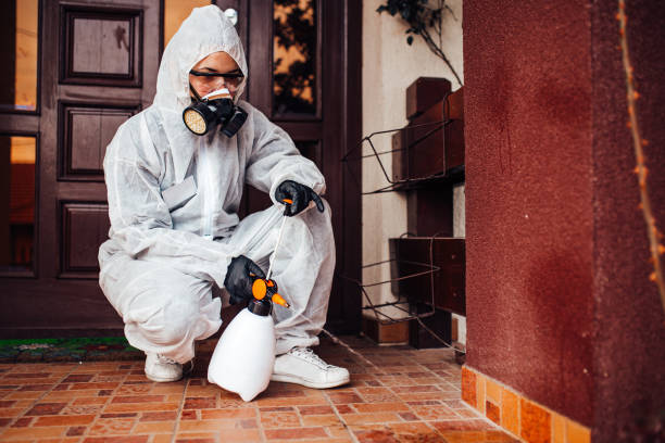 Attic and Crawl Space Rodent Treatment in Pikeville