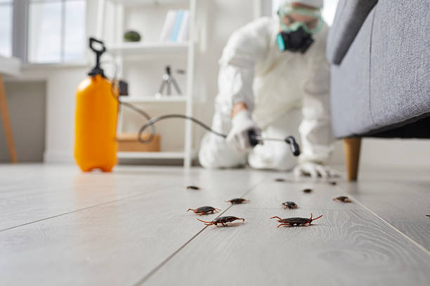 Commercial Rodent Management in Pikeville